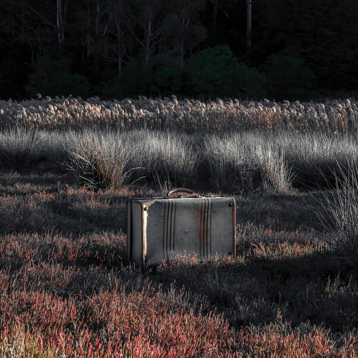 I Arrived With One Suitcase: A Woman’s Journey