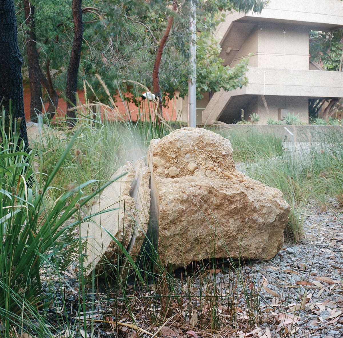 Ian Potter Sculpture Commission: The Birds