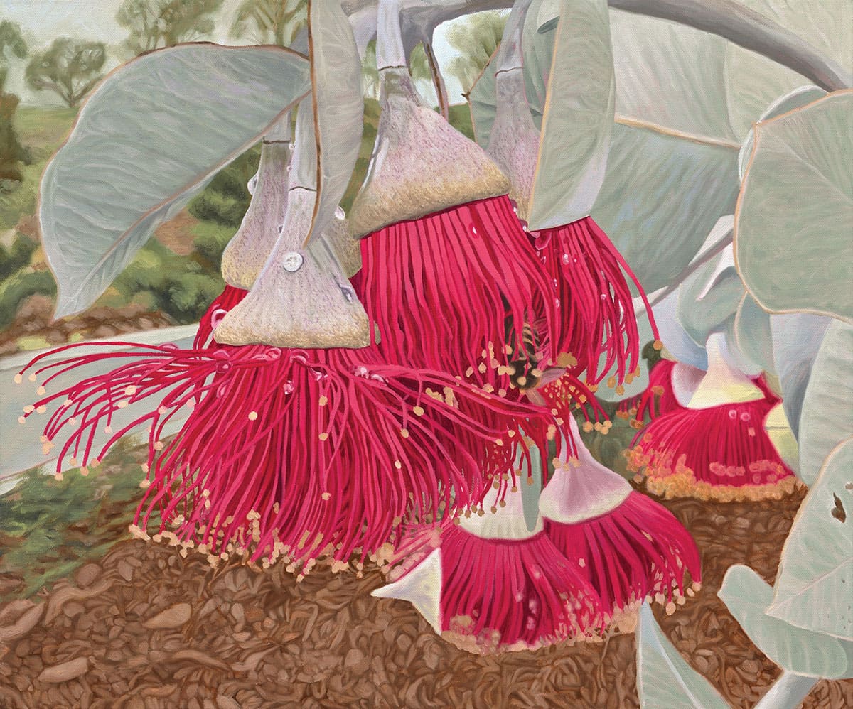 The Flora of Western Australia: An Artistic Impression