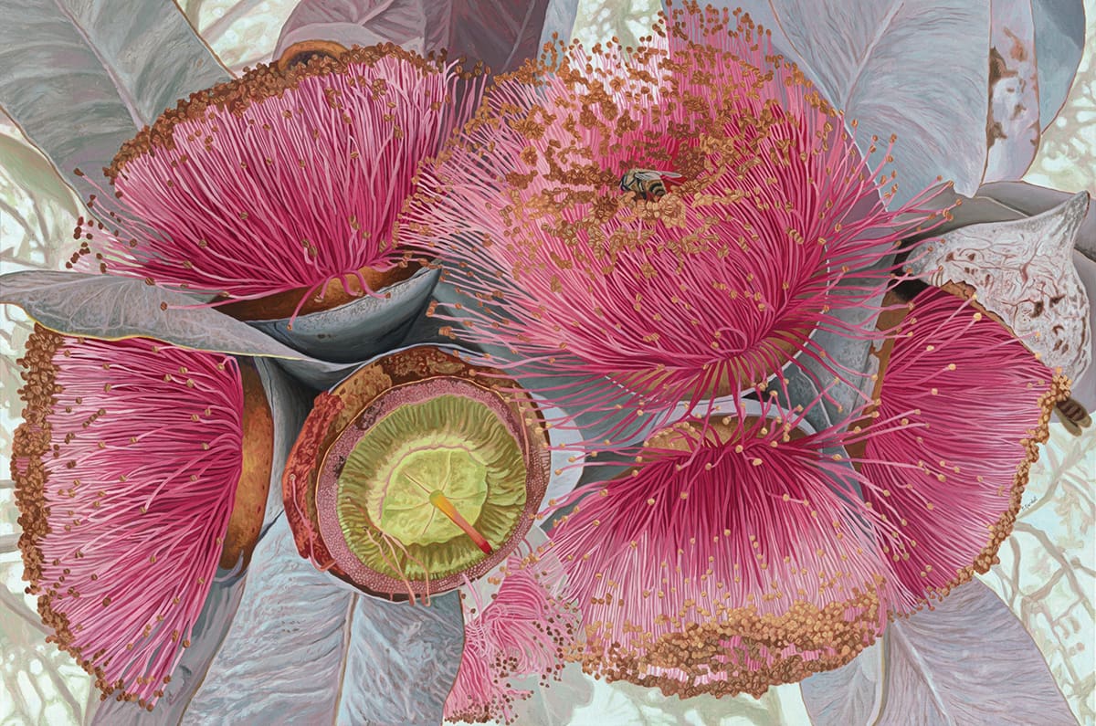 The Flora of Western Australia: An Artistic Impression
