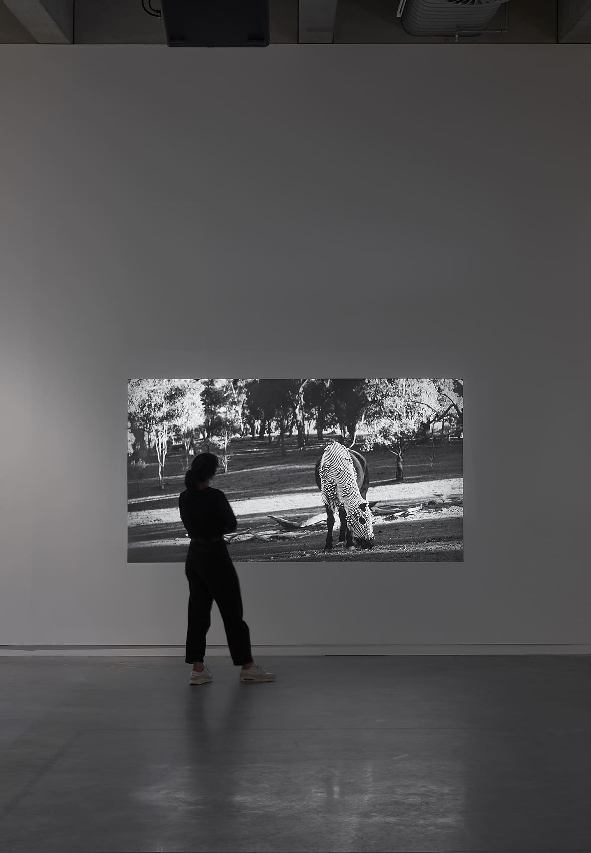 Tina Stefanou, Horse Power, 2019, single-channel HD video. Thinking together-Exchanges with the natural world (installation view), Bundanon, 2025. Photo- Zan Wimberley.