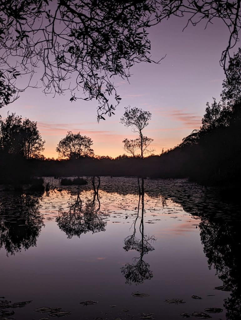 Yurruun.ga Wetlands – an album