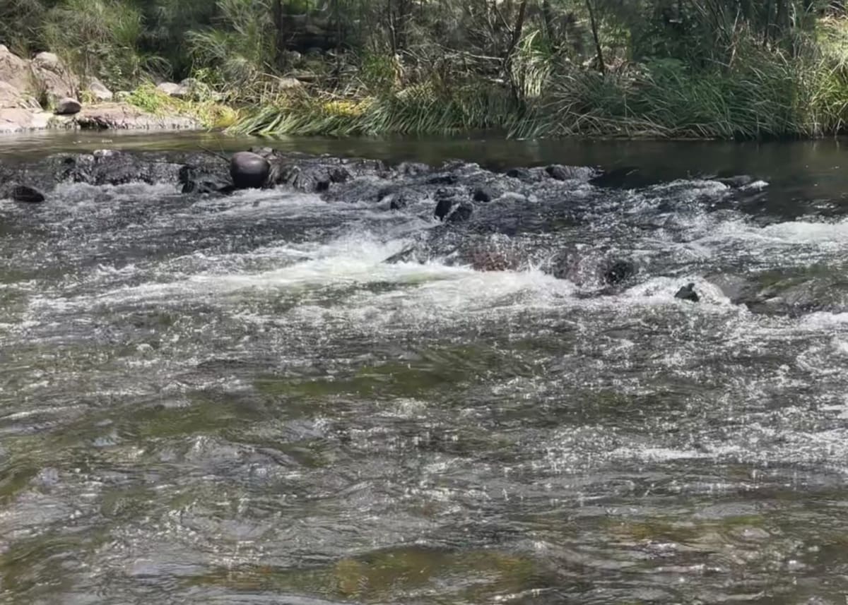 Djinindira (Ginninderra)