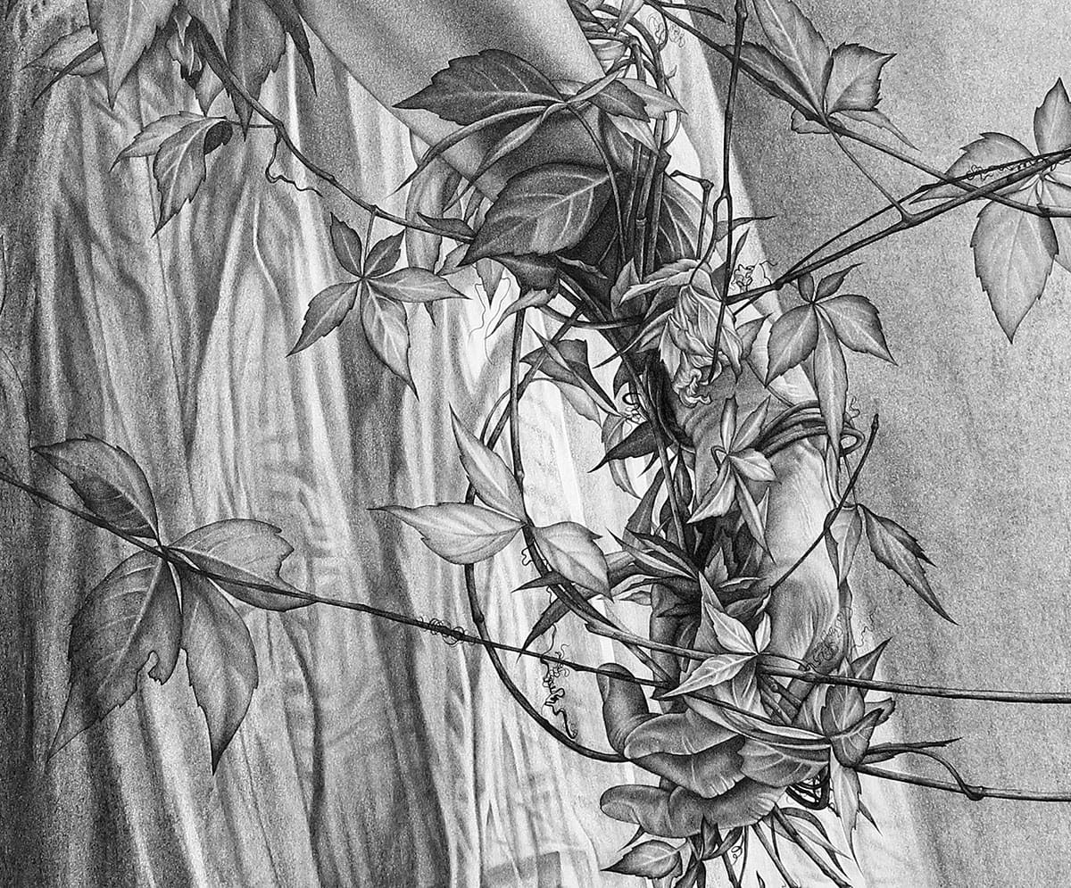 While the World Looks Away: Art in the Shadow of Climate Apathy