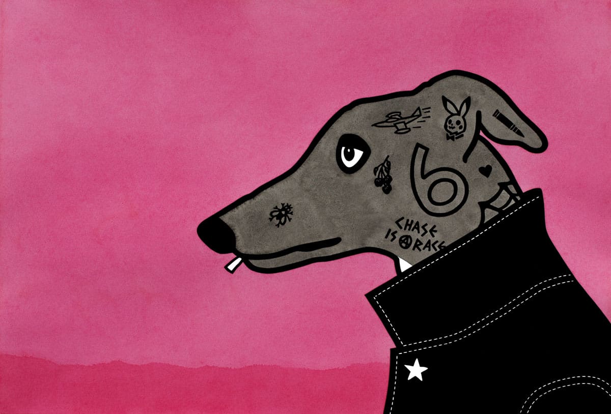 All things animal: from the observed to the imagined