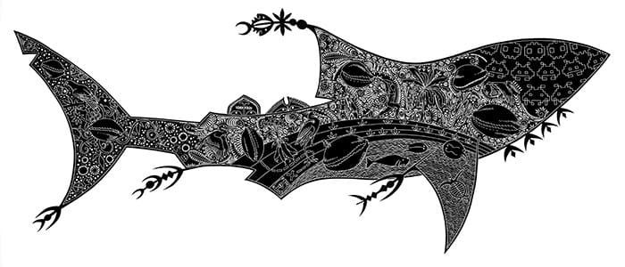 Focus on the Collection: Ripples Through Time