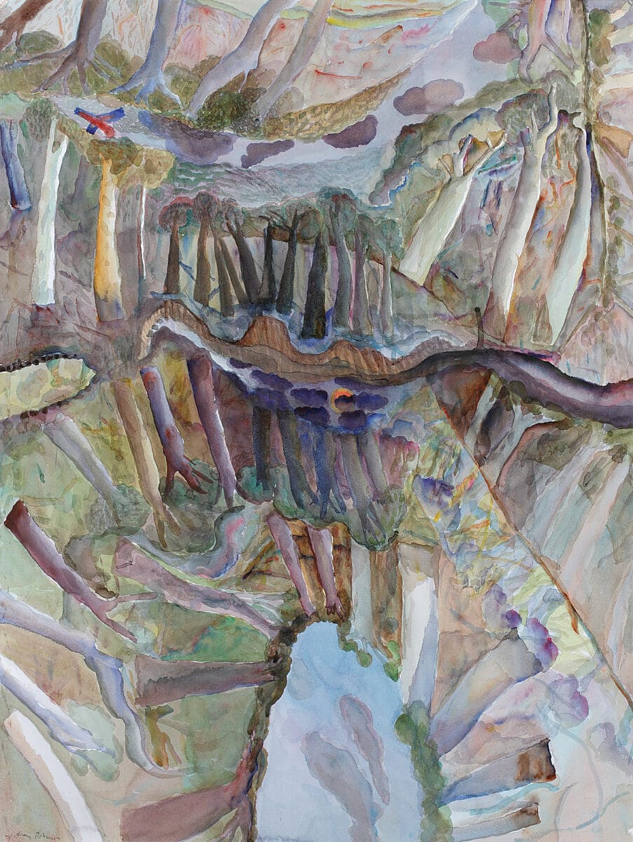 William Robinson: Reflections
