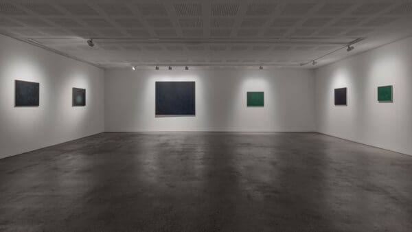 The Sky Swallowed a Stone
