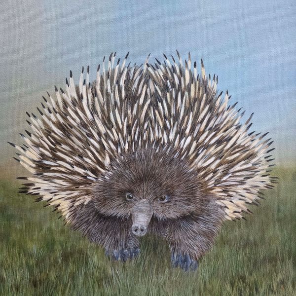 Shared Spaces: The Wildlife Next Door