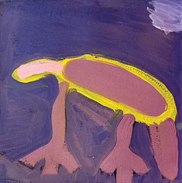 Christmas with Spinifex Hill