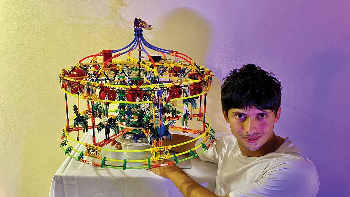Theme Park Rides: Art with Lego and K’nex