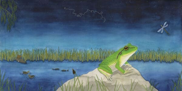 Litoria’s Wetland World
