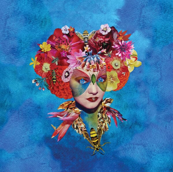 Deborah Kelly: CREATION