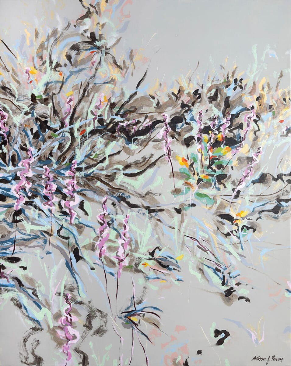 Seasons of the High Country