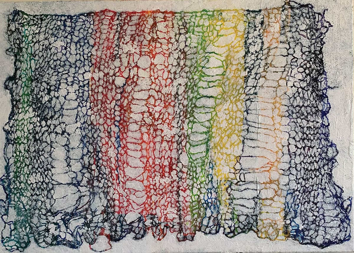 The remnants of Johannes cardigan