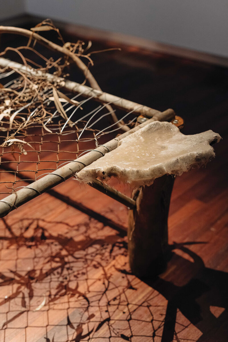 TILT Commission 2025