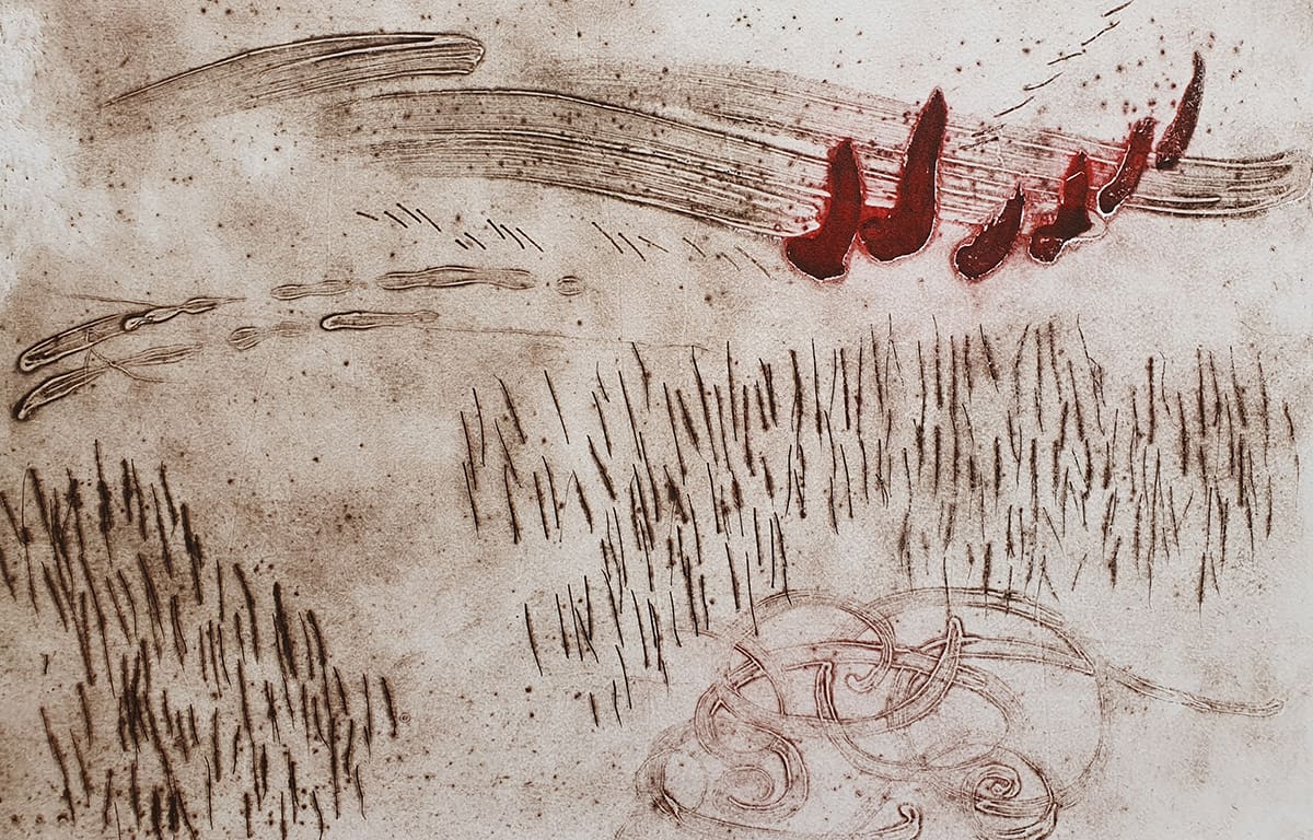 Sights and Sounds (walks in Jerrabomberra wetlands)