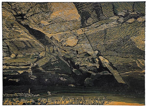 Tim Mosely: Revisiting the Bush
