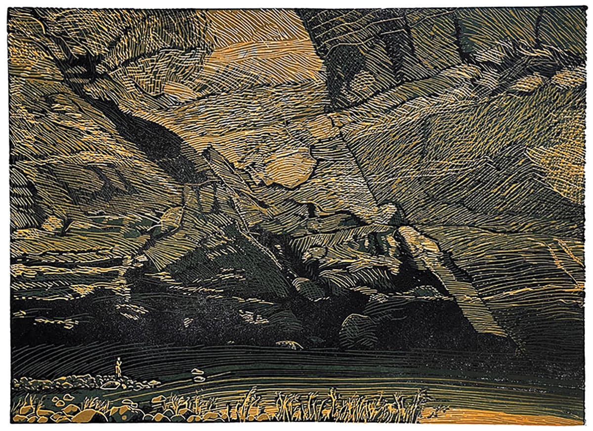 Tim Mosely: Revisiting the Bush